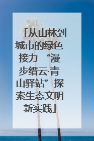 从山林到城市的绿色接力 “漫步缙云·青山驿站”探索生态文明新实践