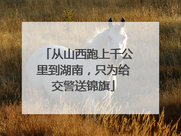 从山西跑上千公里到湖南，只为给交警送锦旗