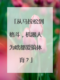 从马拉松到格斗，机器人为啥都爱搞体育？
