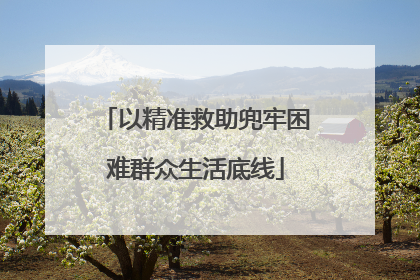以精准救助兜牢困难群众生活底线