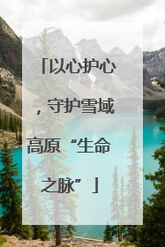 以心护心，守护雪域高原“生命之脉”