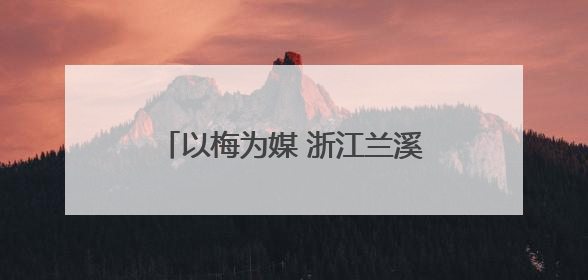 以梅为媒 浙江兰溪杨梅乡迎来台湾客
