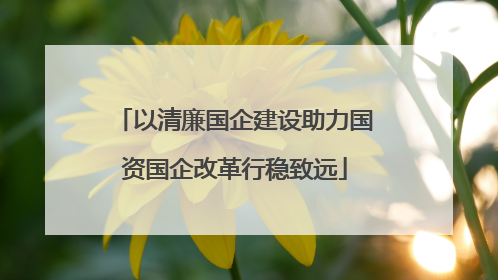 以清廉国企建设助力国资国企改革行稳致远