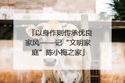 以身作则传承优良家风——记“文明家庭”陈小梅之家