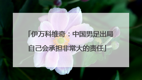 伊万科维奇：中国男足出局自己会承担非常大的责任