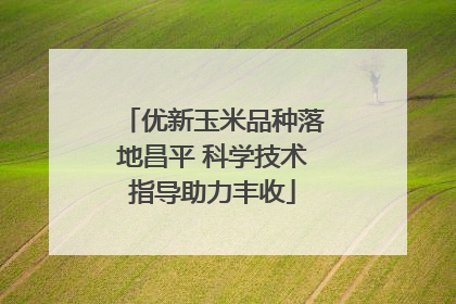 优新玉米品种落地昌平 科学技术指导助力丰收