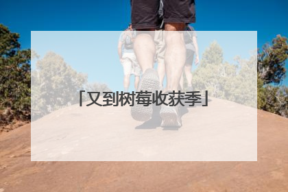 又到树莓收获季