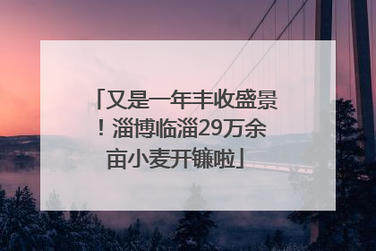 又是一年丰收盛景！淄博临淄29万余亩小麦开镰啦