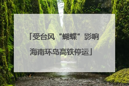 受台风“蝴蝶”影响 海南环岛高铁停运