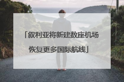 叙利亚将新建数座机场 恢复更多国际航线