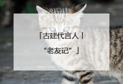 古建代言人丨“老友记”