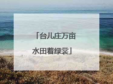 台儿庄万亩水田着绿裳