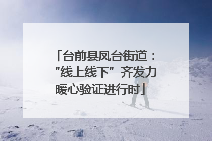 台前县凤台街道：“线上线下”齐发力 暖心验证进行时