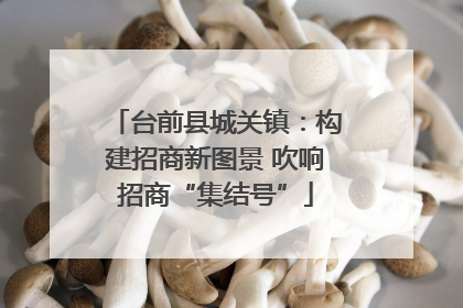 台前县城关镇：构建招商新图景 吹响招商“集结号”
