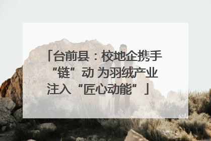 台前县：校地企携手“链”动 为羽绒产业注入“匠心动能”