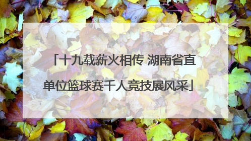 十九载薪火相传 湖南省直单位篮球赛千人竞技展风采