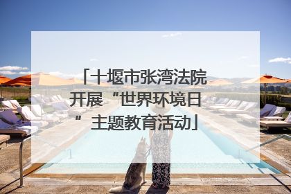 十堰市张湾法院开展“世界环境日”主题教育活动