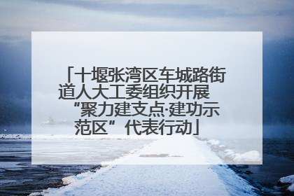 十堰张湾区车城路街道人大工委组织开展 “聚力建支点·建功示范区”代表行动