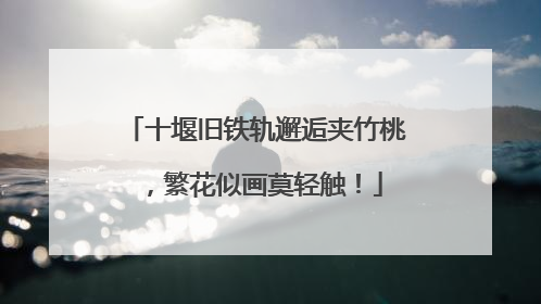 十堰旧铁轨邂逅夹竹桃，繁花似画莫轻触！