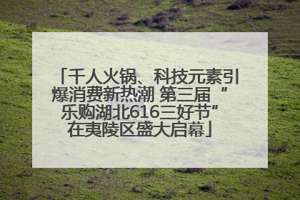千人火锅、科技元素引爆消费新热潮 第三届“乐购湖北616三好节”在夷陵区盛大启幕