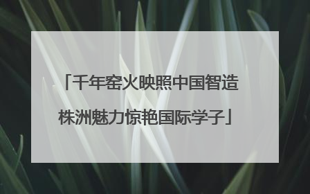 千年窑火映照中国智造 株洲魅力惊艳国际学子