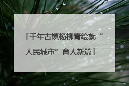 千年古镇杨柳青绘就“人民城市”育人新篇