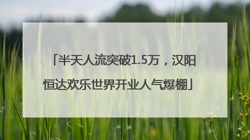 半天人流突破1.5万，汉阳恒达欢乐世界开业人气爆棚