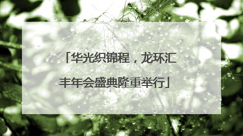 华光织锦程，龙环汇丰年会盛典隆重举行