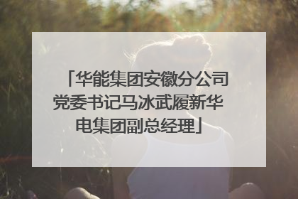 华能集团安徽分公司党委书记马冰武履新华电集团副总经理