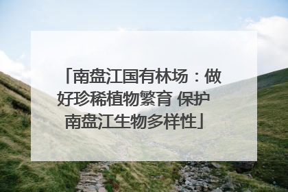 南盘江国有林场：做好珍稀植物繁育 保护南盘江生物多样性