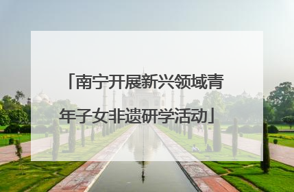 南宁开展新兴领域青年子女非遗研学活动