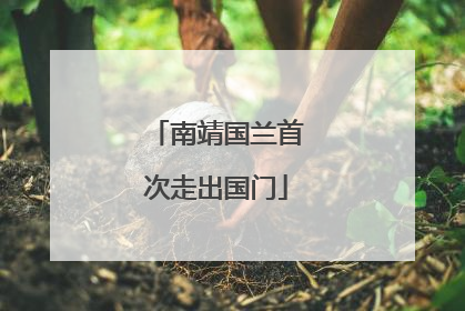 南靖国兰首次走出国门
