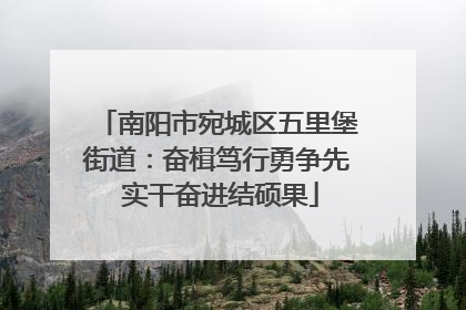 南阳市宛城区五里堡街道：奋楫笃行勇争先 实干奋进结硕果