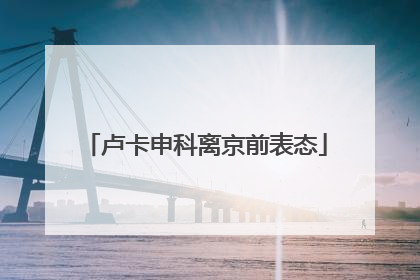 卢卡申科离京前表态