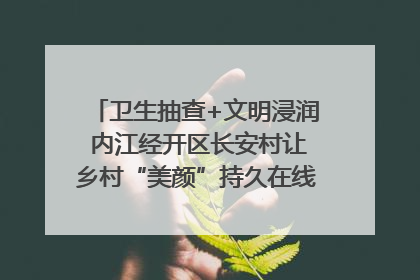 卫生抽查+文明浸润 内江经开区长安村让乡村“美颜”持久在线｜万千气象看四川