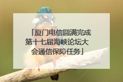 厦门电信圆满完成第十七届海峡论坛大会通信保障任务