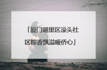 厦门湖里区濠头社区粽香飘溢暖侨心