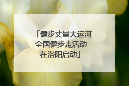 健步丈量大运河 全国健步走活动在洛阳启动