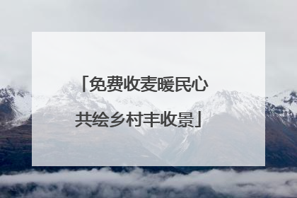免费收麦暖民心 共绘乡村丰收景