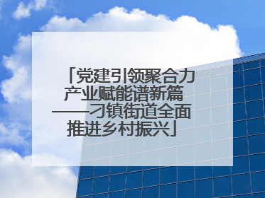 党建引领聚合力 产业赋能谱新篇——刁镇街道全面推进乡村振兴