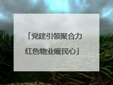 党建引领聚合力 红色物业暖民心