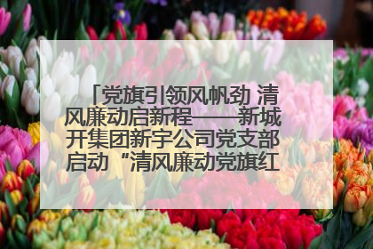 党旗引领风帆劲 清风廉动启新程——新城开集团新宇公司党支部启动“清风廉动党旗红”系列活动