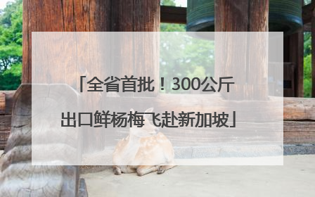 全省首批！300公斤出口鲜杨梅飞赴新加坡
