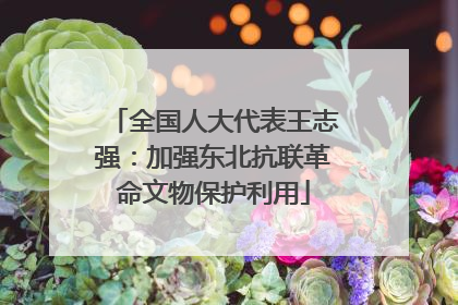 全国人大代表王志强：加强东北抗联革命文物保护利用