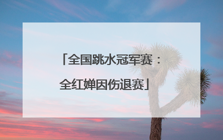 全国跳水冠军赛：全红婵因伤退赛