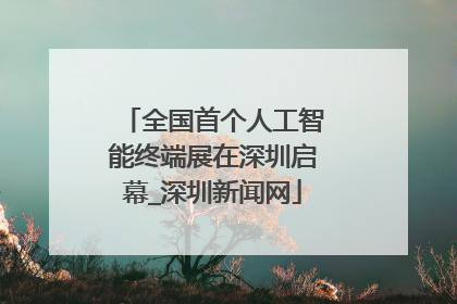 全国首个人工智能终端展在深圳启幕_深圳新闻网
