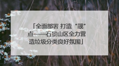 全面部署 打造“靓” 点——石景山区全力营造垃圾分类良好氛围