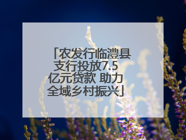 农发行临澧县支行投放7.5亿元贷款 助力全域乡村振兴
