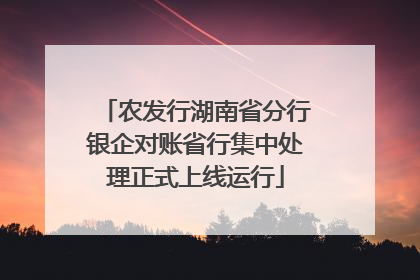 农发行湖南省分行银企对账省行集中处理正式上线运行