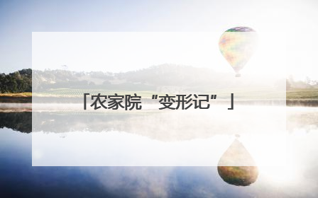 农家院“变形记”